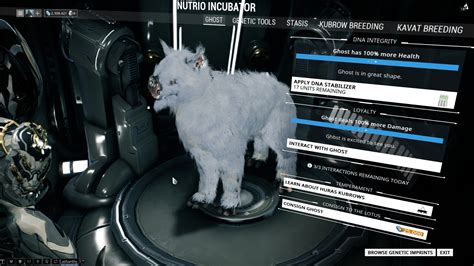 warframe kubrow price guide